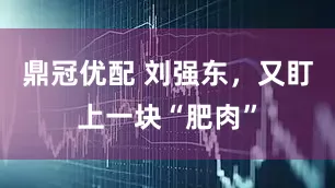 鼎冠优配 刘强东，又盯上一块“肥肉”